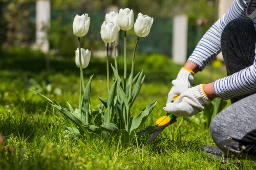 Landscape gardening tools and a maintained lawn in Limehouse