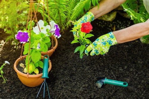 Gardener pruning a terrace garden in Limehouse