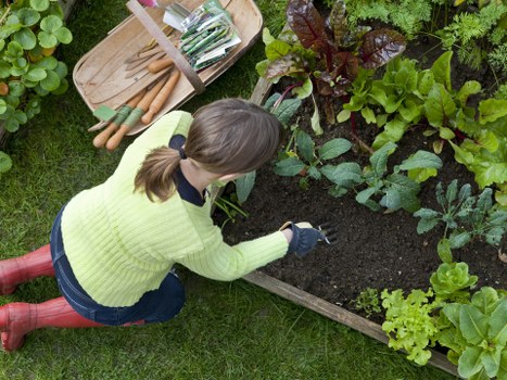 Inspector reviewing garden maintenance work records